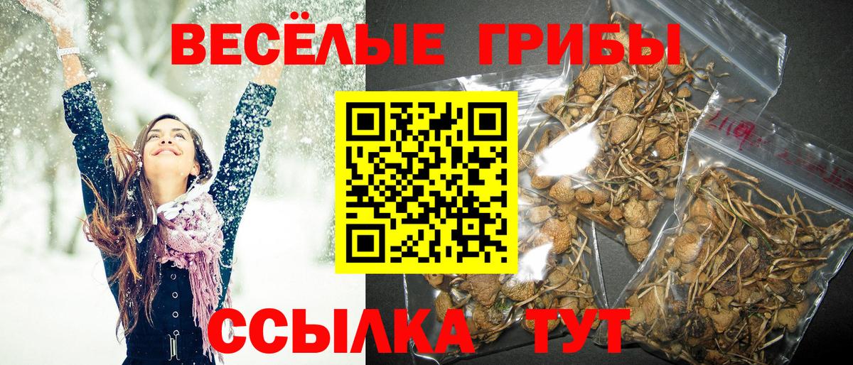 Галлюциногенные грибы ЛСД  Вход с VPN  Минусинск 